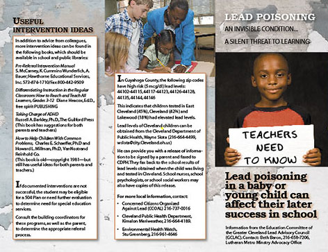 Lead poisoning brochure