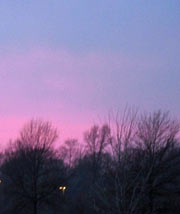 Pink sky at sunset