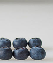 Several blueberries on a white background