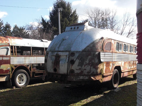 Two Flxible buses in junkyard