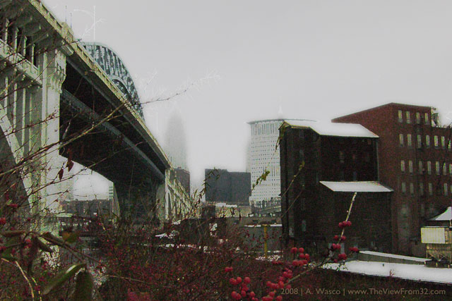 Downtown Cleveland with bridge and berries