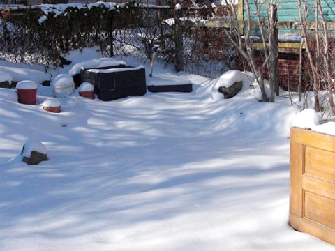 Backyard garden covered with snow