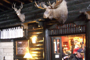 El Tovar Hotel lobby with elk heads on wall