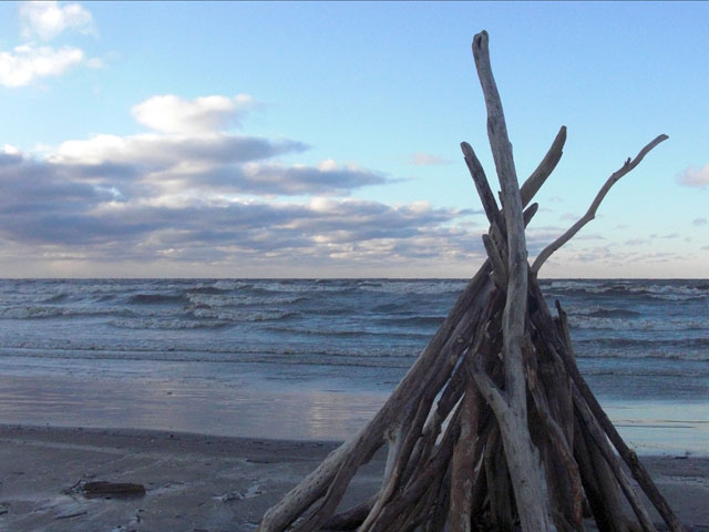 Log sculpture on beach