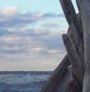 Wood and blue sky