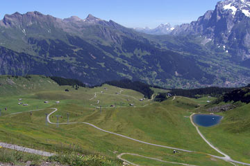 Green valley below mountain peak