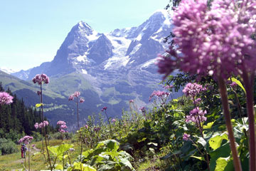 People on trail with Kleine Scheidegg in distance