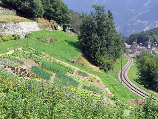 Garden on hillside above Salvan