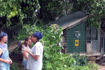 Chicken coop facing south