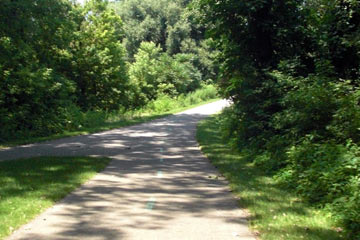 Shady bike trail