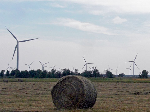Wind farm on Wolfe Island