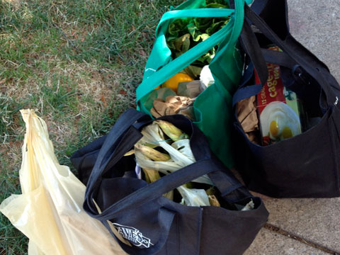 Shopping bags filled with food