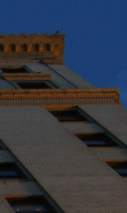 Downtown buildings seen from street level