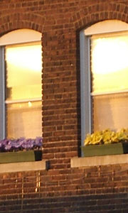 Window boxes with yellow and purple artificial flowers