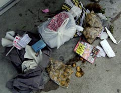 Discarded belongings on the sidewalk