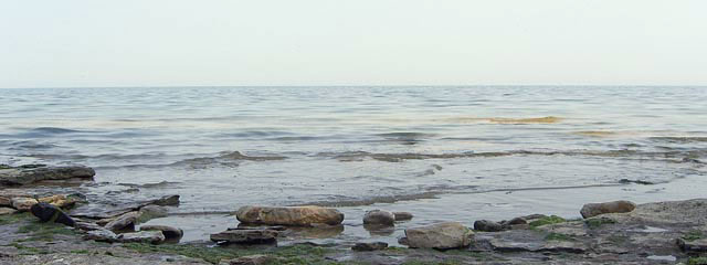 Looking east from the beach