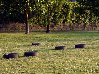 Six tires scattered here and there in the grasss at Fairview Park