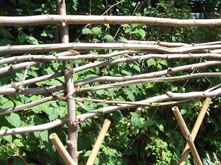 Close-up of  woven twig fence  