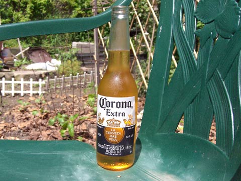 Bottle of Corona beer on plastic chair with garden in background