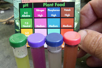 Test tubes with different colors of liquid showing levels of nutrients