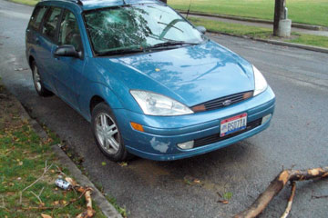 Joanne's car with tree limb on street