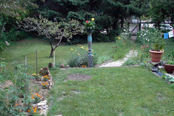 Backyard, grass and flowers