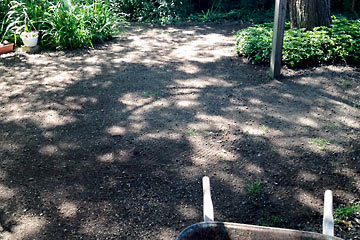 Dirt in back yard