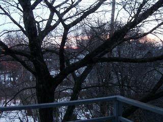 Dawn on March 1, out my bedroom window