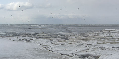Lake Erie with slushy ice and mostly open water
