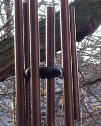 Wind chimes on back deck