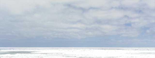 Looking north over Lake Erie, Edgewater Park