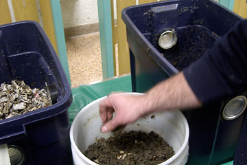 Worm bins and bucket of castings