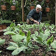 Jules Dervaes in his garden