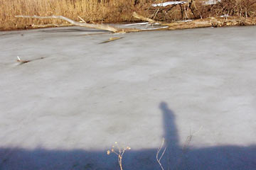 Shadow of runner along Canal