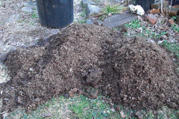 Pile of horse manure on ground