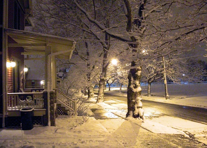 Snow-covered trees and street at night