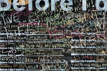 Detail of 'Before I Die'