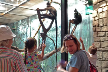 People in front of monkey enclosure