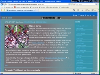 Screenshot, IE 7.0