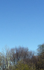 Blue sky over Rocky River park