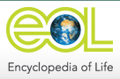 Encyclopedia of Life logo