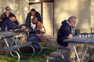 Chess players at Edgewater