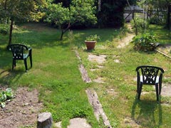 Chairs in the backyard sunshine