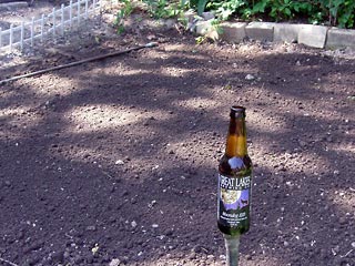 Garden and bottle of beer