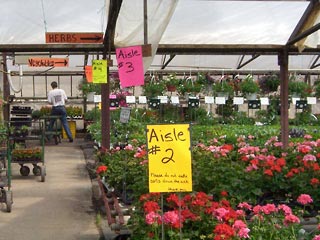 View down the aisle showing vegetables and flowers