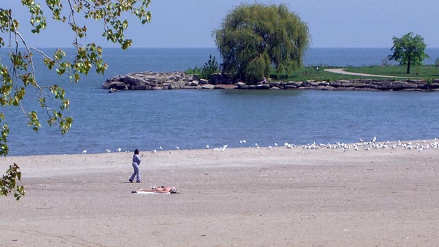 Sunbather on beach at Edgewater Park