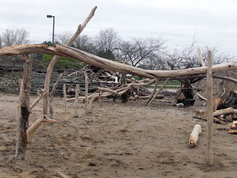 Driftwood sculpture at Edgewater Park