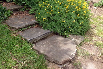 Stone steps in garden