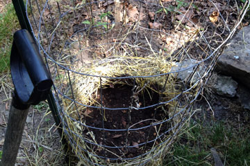 Potato tower, dirt only