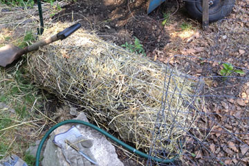 Potato tower fallen on its side